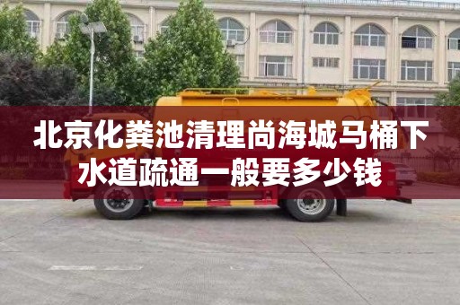 北京化粪池清理尚海城马桶下水道疏通一般要多少钱