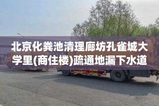 北京化粪池清理廊坊孔雀城大学里(商住楼)疏通地漏下水道一般多少钱