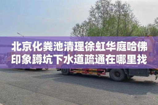 北京化粪池清理徐虹华庭哈佛印象蹲坑下水道疏通在哪里找