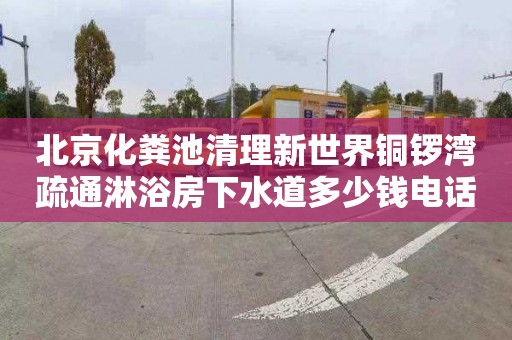 北京化粪池清理新世界铜锣湾疏通淋浴房下水道多少钱电话