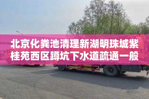 北京化粪池清理新湖明珠城紫桂苑西区蹲坑下水道疏通一般要多少钱