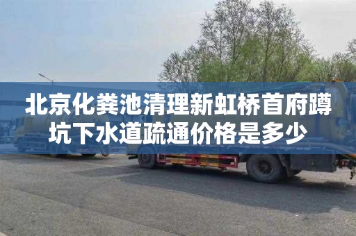 北京化粪池清理新虹桥首府蹲坑下水道疏通价格是多少