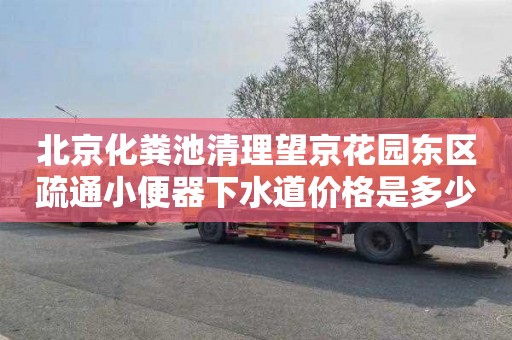 北京化粪池清理望京花园东区疏通小便器下水道价格是多少