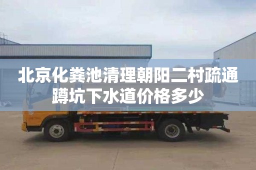 北京化粪池清理朝阳二村疏通蹲坑下水道价格多少
