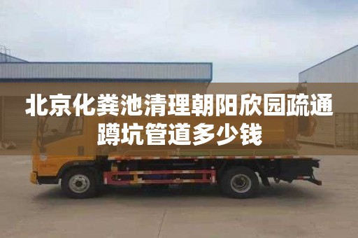 北京化粪池清理朝阳欣园疏通蹲坑管道多少钱