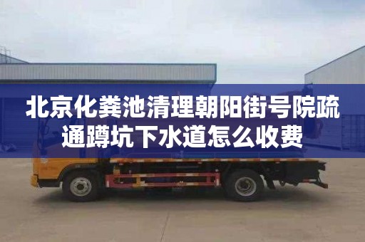北京化粪池清理朝阳街号院疏通蹲坑下水道怎么收费