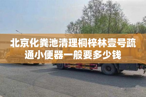 北京化粪池清理桐梓林壹号疏通小便器一般要多少钱