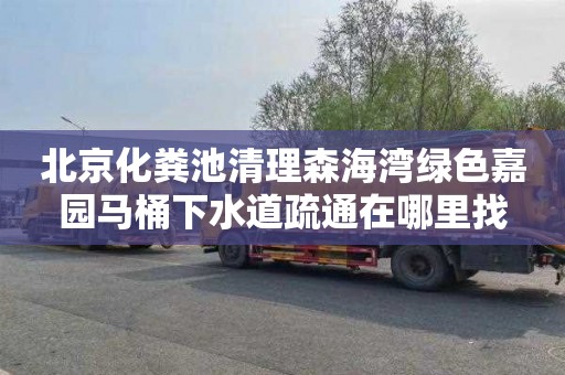 北京化粪池清理森海湾绿色嘉园马桶下水道疏通在哪里找