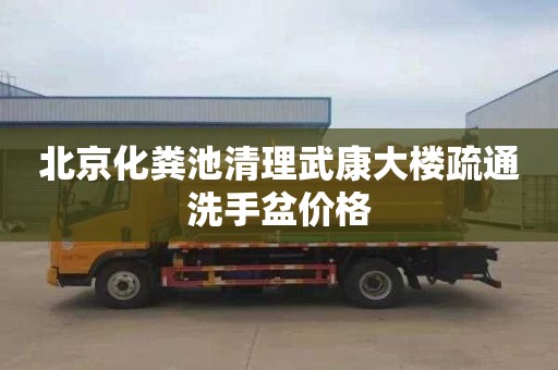 北京化粪池清理武康大楼疏通洗手盆价格