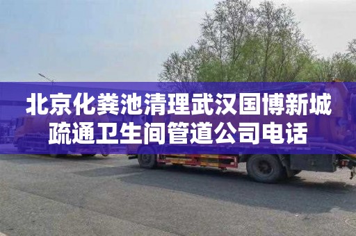 北京化粪池清理武汉国博新城疏通卫生间管道公司电话
