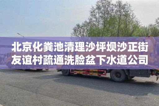 北京化粪池清理沙坪坝沙正街友谊村疏通洗脸盆下水道公司电话