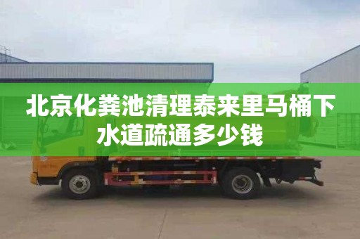 北京化粪池清理泰来里马桶下水道疏通多少钱