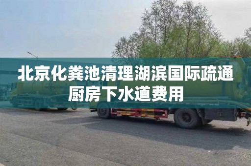 北京化粪池清理湖滨国际疏通厨房下水道费用