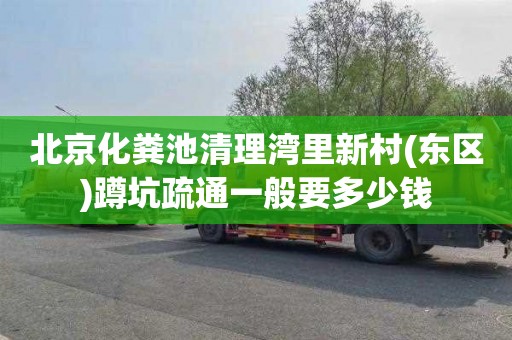 北京化粪池清理湾里新村(东区)蹲坑疏通一般要多少钱