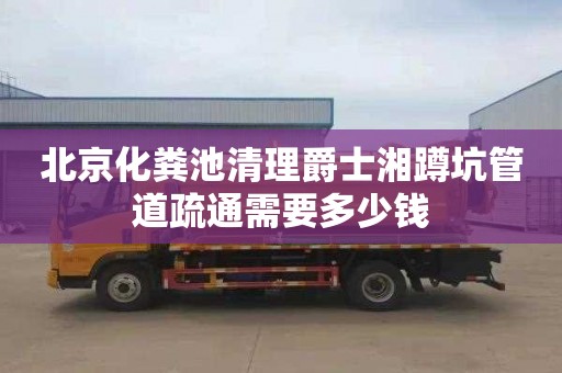 北京化粪池清理爵士湘蹲坑管道疏通需要多少钱