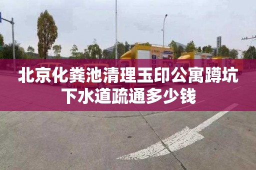 北京化粪池清理玉印公寓蹲坑下水道疏通多少钱