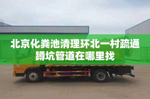 北京化粪池清理环北一村疏通蹲坑管道在哪里找
