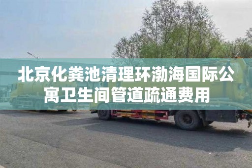 北京化粪池清理环渤海国际公寓卫生间管道疏通费用