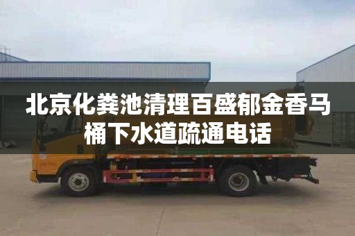 北京化粪池清理百盛郁金香马桶下水道疏通电话