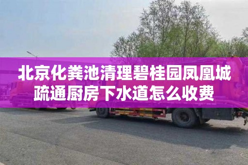 北京化粪池清理碧桂园凤凰城疏通厨房下水道怎么收费