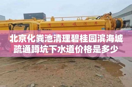 北京化粪池清理碧桂园滨海城疏通蹲坑下水道价格是多少