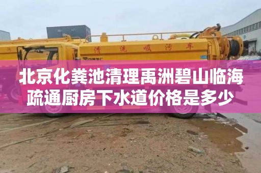 北京化粪池清理禹洲碧山临海疏通厨房下水道价格是多少