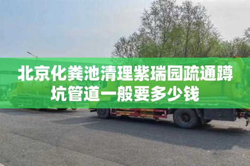 北京化粪池清理紫瑞园疏通蹲坑管道一般要多少钱