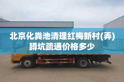 北京化粪池清理红梅新村(弄)蹲坑疏通价格多少