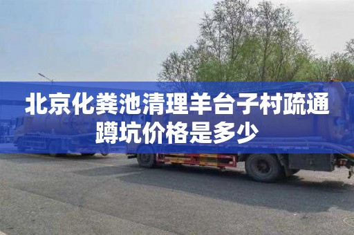 北京化粪池清理羊台子村疏通蹲坑价格是多少