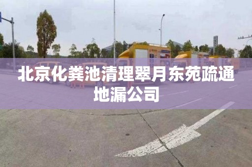 北京化粪池清理翠月东苑疏通地漏公司