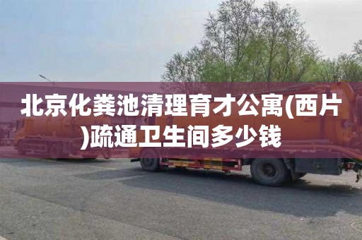 北京化粪池清理育才公寓(西片)疏通卫生间多少钱