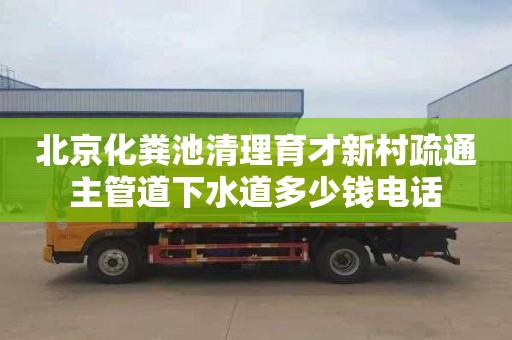 北京化粪池清理育才新村疏通主管道下水道多少钱电话