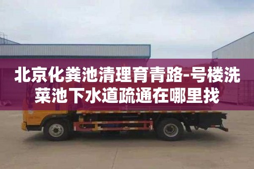 北京化粪池清理育青路-号楼洗菜池下水道疏通在哪里找