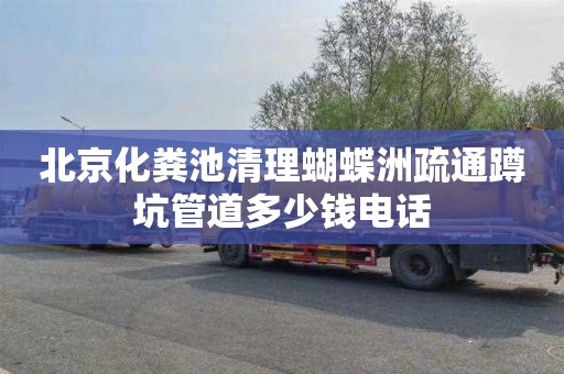 北京化粪池清理蝴蝶洲疏通蹲坑管道多少钱电话