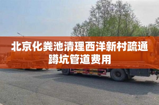 北京化粪池清理西洋新村疏通蹲坑管道费用