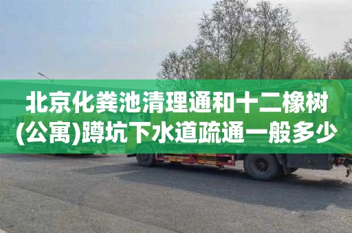 北京化粪池清理通和十二橡树(公寓)蹲坑下水道疏通一般多少钱
