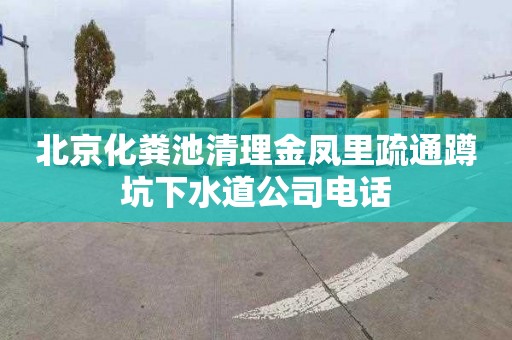 北京化粪池清理金凤里疏通蹲坑下水道公司电话