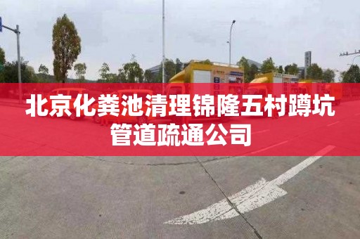 北京化粪池清理锦隆五村蹲坑管道疏通公司