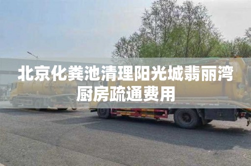 北京化粪池清理阳光城翡丽湾厨房疏通费用