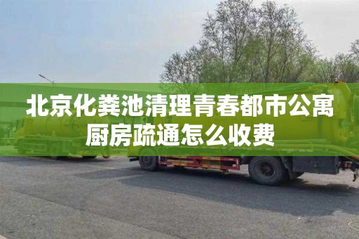 北京化粪池清理青春都市公寓厨房疏通怎么收费