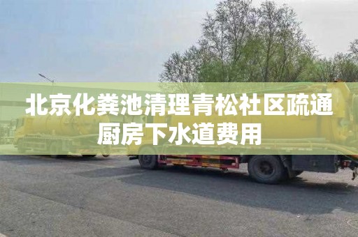 北京化粪池清理青松社区疏通厨房下水道费用
