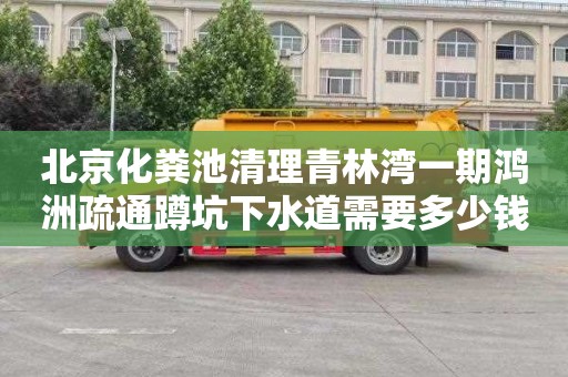 北京化粪池清理青林湾一期鸿洲疏通蹲坑下水道需要多少钱