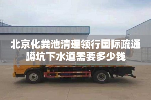 北京化粪池清理领行国际疏通蹲坑下水道需要多少钱