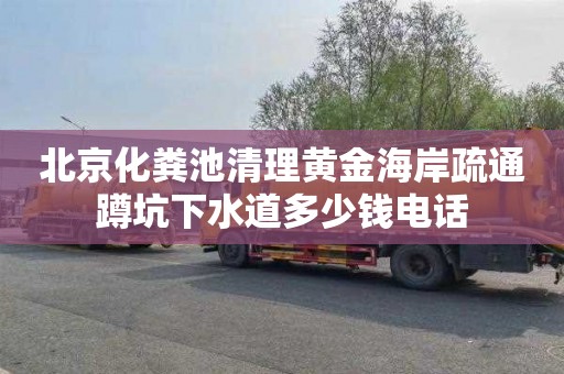 北京化粪池清理黄金海岸疏通蹲坑下水道多少钱电话