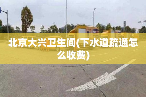 北京大兴卫生间(下水道疏通怎么收费)