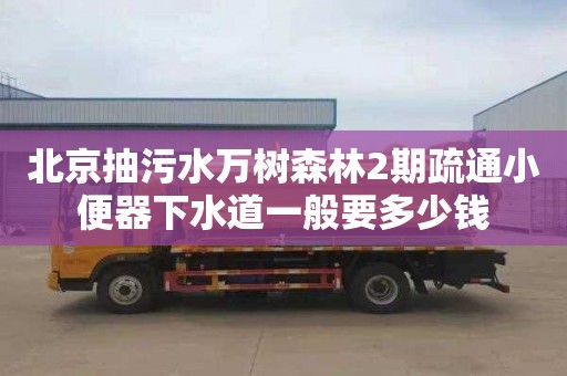 北京抽污水万树森林2期疏通小便器下水道一般要多少钱