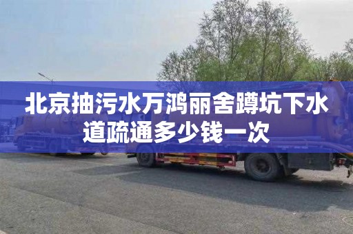 北京抽污水万鸿丽舍蹲坑下水道疏通多少钱一次