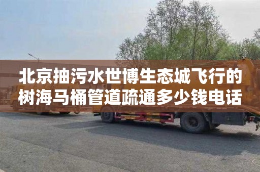 北京抽污水世博生态城飞行的树海马桶管道疏通多少钱电话