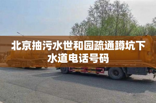北京抽污水世和园疏通蹲坑下水道电话号码