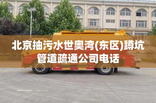 北京抽污水世奥湾(东区)蹲坑管道疏通公司电话